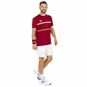 Heren T-shirt Tecnifibre Club Tech Tee Cardinal