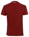 Heren T-shirt Tecnifibre Club Tech Tee Cardinal