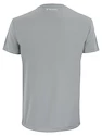 Heren T-shirt Tecnifibre  Club Tech Tee Silver
