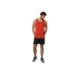 Heren tanktop Mizuno  DryAeroFlow Tank Grenadine