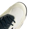 Heren tennisschoenen adidas Solematch Control 2 White/Silver
