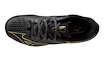 Heren tennisschoenen Mizuno Wave Exceed TOUR 6 AC 10th Iron Gate/Gold/Black