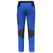 Herenbroek Salewa  Pedroc 2 DST M Light Pants Electric