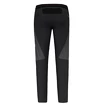 Herenbroek Salewa  Pedroc 4 DST M Reg Pants