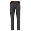 Herenbroek Salewa  Pedroc 4 DST M Reg Pants  L