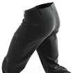 Herenbroek Salomon  M Wayfarer Pants Black