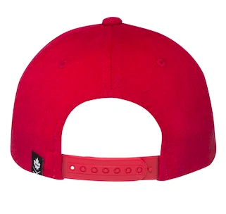 Herenpet CCM  TITAN Flat Brim Snapback