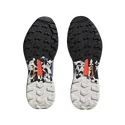 Herenschoenen adidas  Terrex SKYCHASER 2
