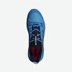 Herenschoenen adidas  Terrex Skychaser 2 GTX Blue