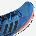 Herenschoenen adidas  Terrex Skychaser 2 GTX Blue
