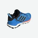 Herenschoenen adidas  Terrex Skychaser 2 GTX Blue