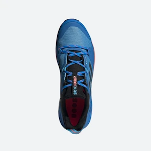 Herenschoenen adidas  Terrex Skychaser 2 GTX Blue