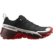 Herenschoenen Salomon Cross Hike GTX 2