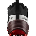 Herenschoenen Salomon  Cross Hike GTX 2