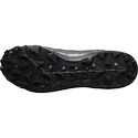 Herenschoenen Salomon Cross Hike Mid GTX 2 Black