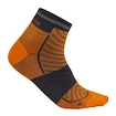 Herensokken Icebreaker Merino Run+ Ultralight Mini Ray/Graphite  M