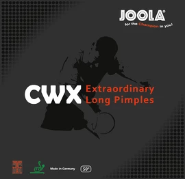 Hoes Joola CWX