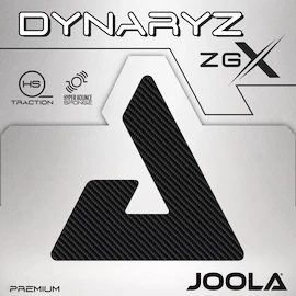 Hoes Joola Dynaryz ZGX