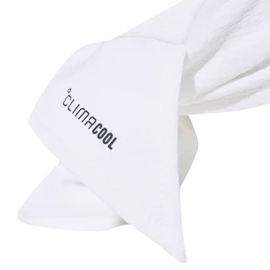 Hoofdband adidas  Tennis Tieband White/Green