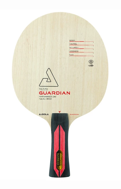 Hout Joola  Tezzo Guardian