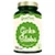 Ginkgo biloba