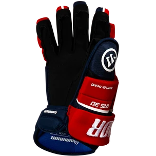 IJshockey handschoenen Warrior Covert QR5 30 Black Senior