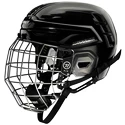 IJshockeyhelm Warrior Alpha One Pro Combo Senior