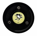 IJshockeypuck Green Biscuit  Pittsburgh Penguins Black