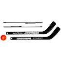 IJshockeyset Warrior  MINI POPUP Net Kit New