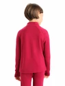 Kinder T-shirt Icebreaker K 260 Tech LS Half Zip Cherry