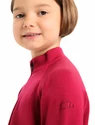 Kinder T-shirt Icebreaker  K 260 Tech LS Half Zip Cherry