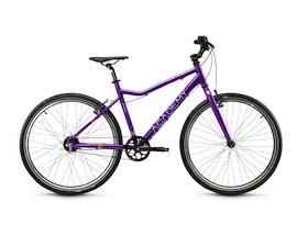 Kinderfiets Academy Grade 6 Belt - 26" Purple