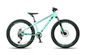 Kinderfiets Beany Blaster  24 Mint