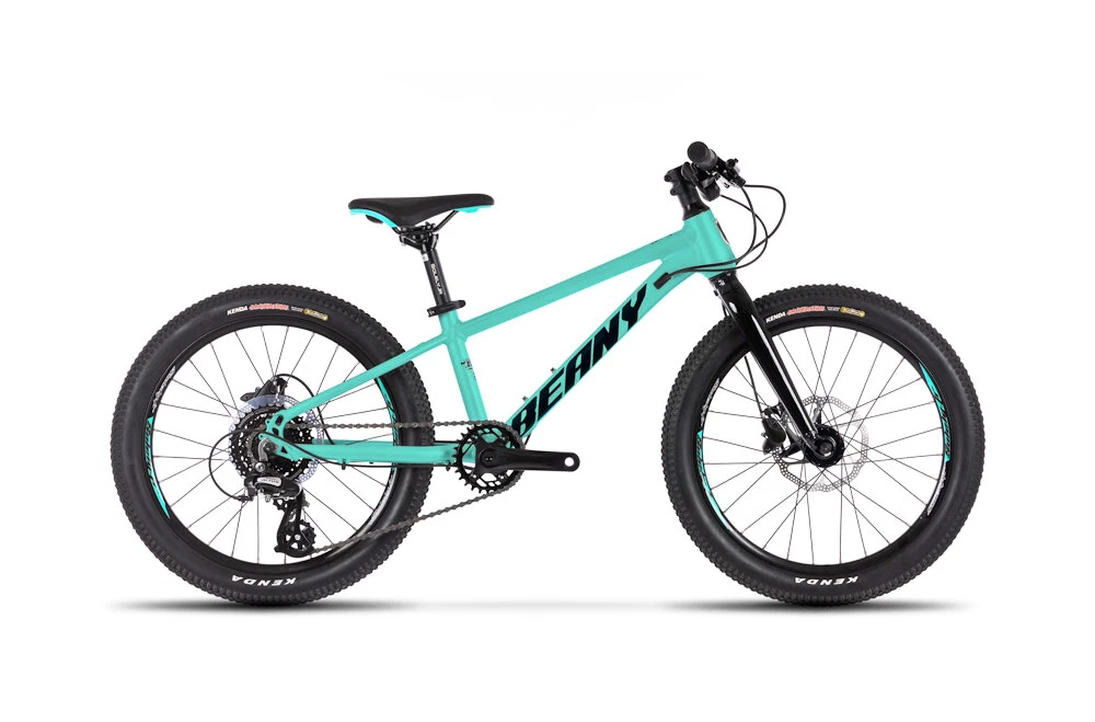 Kinderfiets Beany Blaster XC 20 Mint
