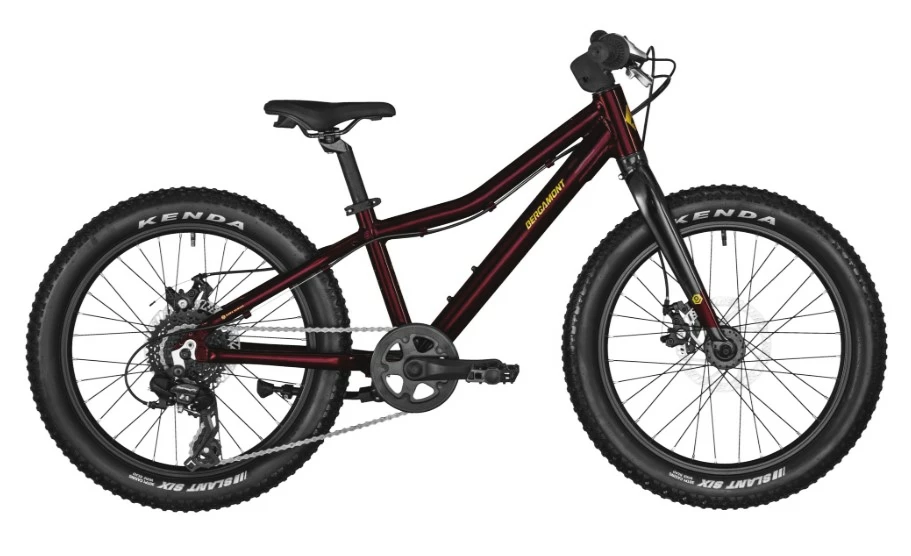 Kinderfiets Bergamont  Bergamonster 20 Plus Girl