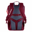 Kinderrugzak Salewa  Minitrek 12 BP