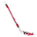 Mini hockeystick Inglasco Inc.  Player Carolina Hurricans