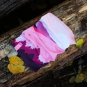 Nekbeschermer Bjež® Storm HILLS pink