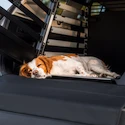 Ondergrond voor bench Thule Allax Dog mat wide