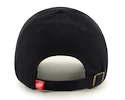 Pet 47 Brand  Clean Up NHL Detroit Red Wings