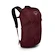 Rugzak OSPREY FARPOINT FAIRVIEW TRAVEL DAYPACK zircon red