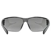 Sportbril Uvex  Equate Black Matt / Smoke (S5330822216)