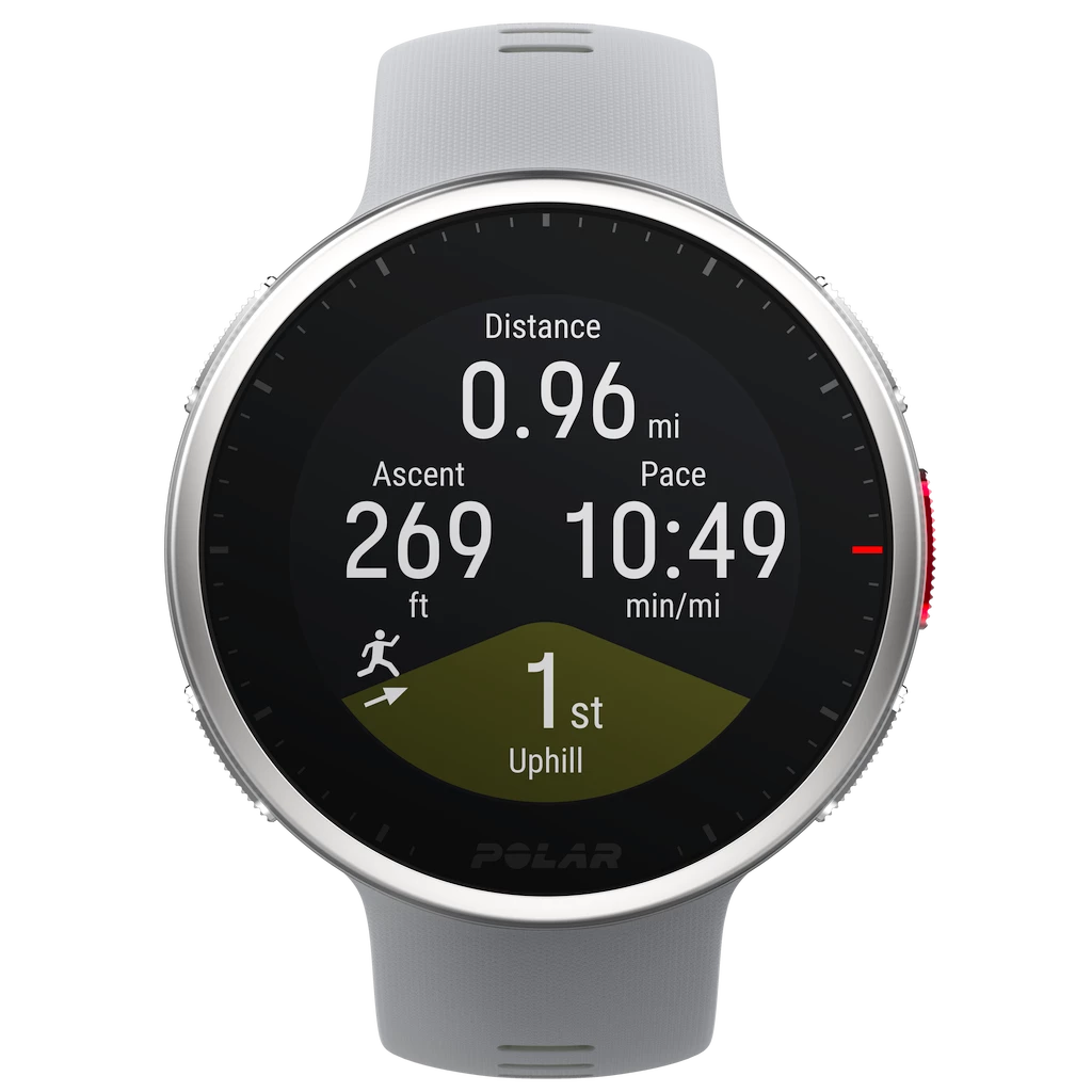 Sporttester Polar Vantage V 2 grey