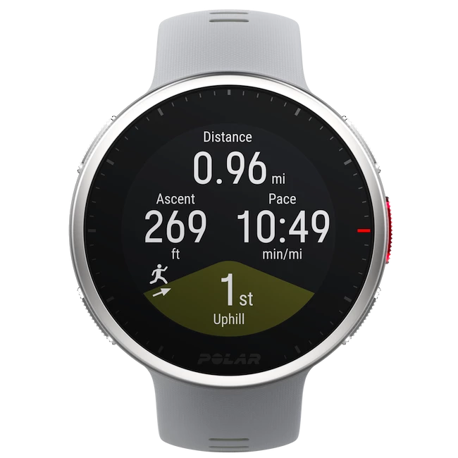 Sporttester Polar Vantage V 2 grey