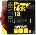 Squash besnaring Ashaway  PowerNick 18 Zyex Red 1,15 mm