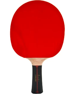 Tafeltennisbatje Donic Schildkröt  Waldner 1000