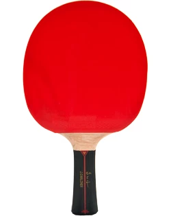 Tafeltennisbatje Donic Schildkröt  Waldner 1000
