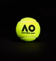 Tennisballen Dunlop  Australian Open (4 St.)