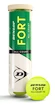 Tennisballen Dunlop  Fort All Court TS