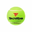 Tennisballen Tecnifibre  X-One (4 St.)